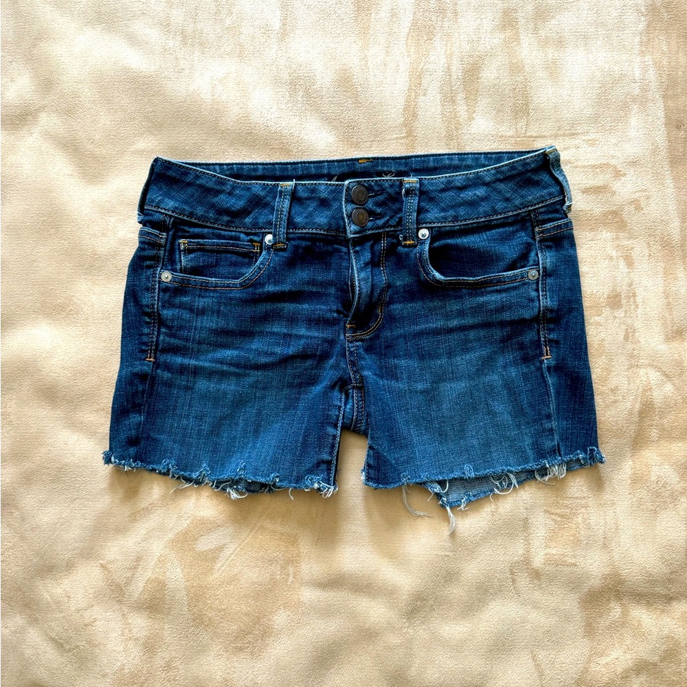 American Eagle “Artist”
